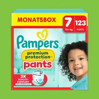 0815 Pampers Premium Protection Pants Angebot