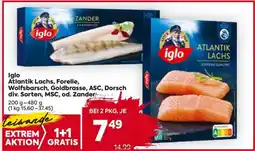 Billa Iglo Atlantik Lachs, Forelle, Wolfsbarsch, Goldbrasse, ASC, Dorsch div. Sorten, MSC od. Zander Angebot