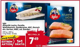 Billa Iglo Atlantik Lachs, Forelle, Wolfsbarsch, Goldbrasse, ASC, Dorsch div. Sorten, MSC od. Zander Angebot