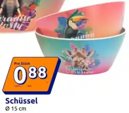 Action Schüssel Angebot