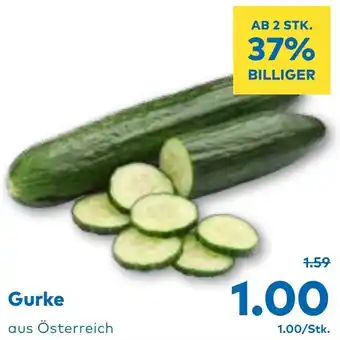 T&G Gurke Angebot