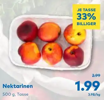 T&G Nektarinen Angebot
