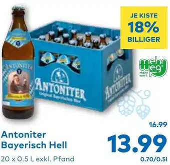 T&G Antoniter Bayerisch Hell Angebot