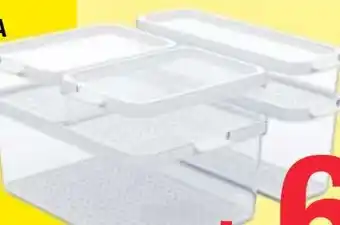 Maximarkt III Rotho Kühlschrankorganizer Cauma Angebot