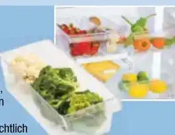 Maximarkt III Rotho Kühlschrankorganizer Angebot