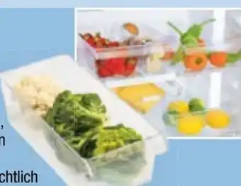 Maximarkt III Rotho Kühlschrankorganizer Angebot