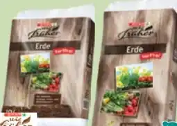 Maximarkt SPAR wie früher Blumenerde Angebot