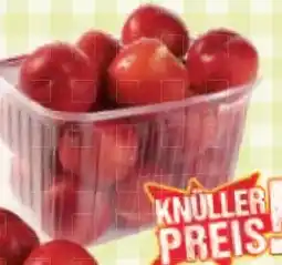 Maximarkt Nektarinen Angebot