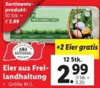 Lidl Eier aus Frei- landhaltung Angebot