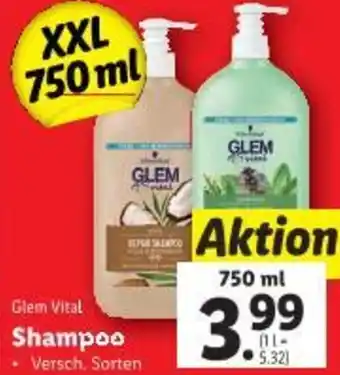 Lidl Shampoo Angebot
