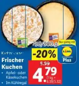 Lidl Frischer Kuchen Angebot