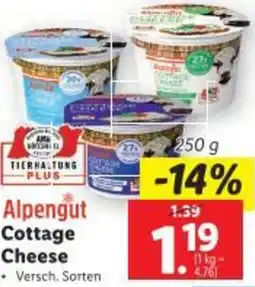 Lidl Cottage Cheese Angebot