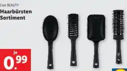Lidl Haarbürsten Sortiment Angebot
