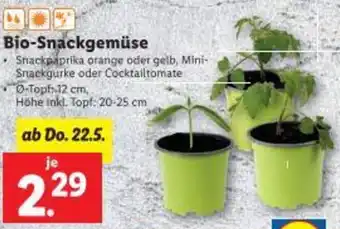 Lidl Bio-Snackgemüse Angebot