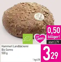 Sutterlüty Hammerl Landbäckerei Bio Sonne Angebot