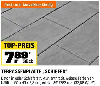 OBI Terrassenplatte schiefer Angebot