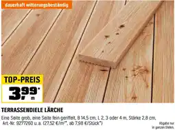 OBI Terrassendiele lärche Angebot