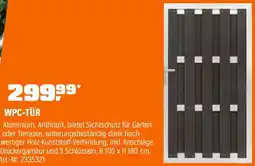 OBI Wpc-tür Angebot
