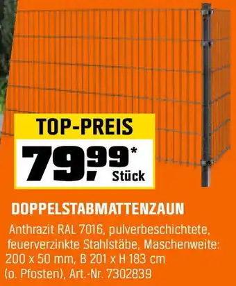 OBI Doppelstabmattenzaun Angebot