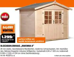 OBI Blockbohlenhaus ravenna a Angebot