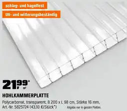 OBI Hohlkammerplatte Angebot