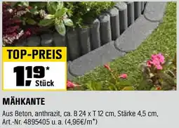 OBI Mähkante Angebot