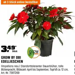 OBI Edellieschen Angebot