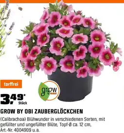OBI Zauberglöckchen Angebot