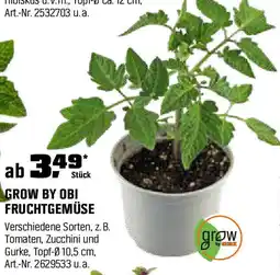 OBI Fruchtgemüse Angebot