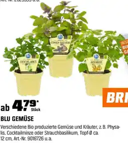 OBI Blu gemüse Angebot