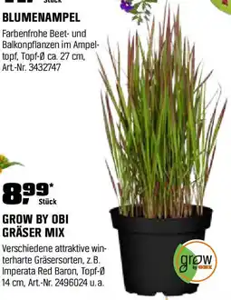 OBI Gräser mix Angebot
