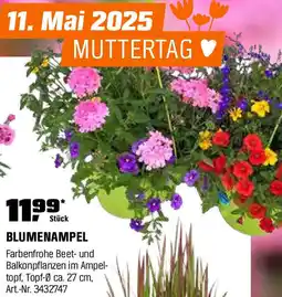 OBI Blumenampel Angebot