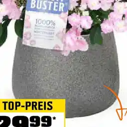 OBI Pflanzgefäss lavalle Angebot
