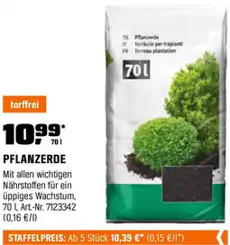 OBI Pflanzerde Angebot