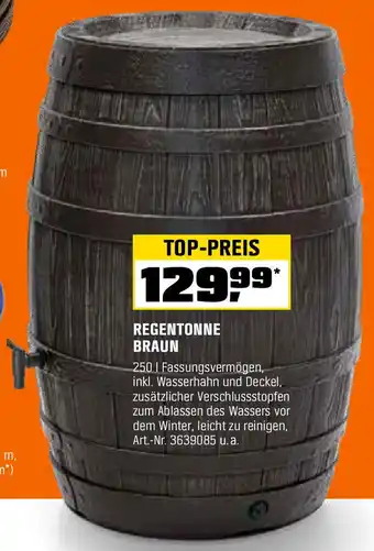 OBI Regentonne braun Angebot