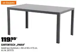 OBI Gartentisch Angebot