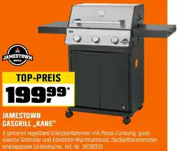OBI Gasgrill kane Angebot