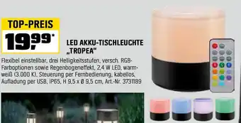 OBI Led akku-tischleuchte Angebot