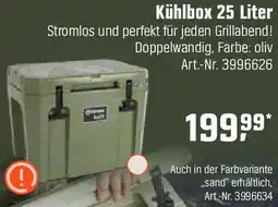 OBI Kühlbox Angebot