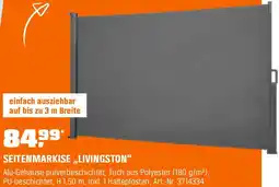 OBI Seitenmarkise livingston Angebot