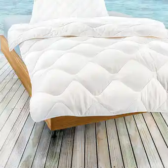 Reiter Baumwolldecke „Cool“ R2030001 Betten Reiter Angebot