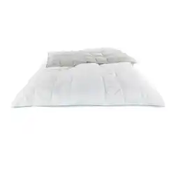 Reiter Decke „Cool” A2050295 Betten Reiter Angebot