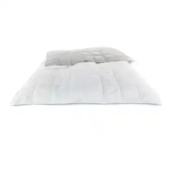 Reiter Decke „Cool” A2050295 Betten Reiter Angebot
