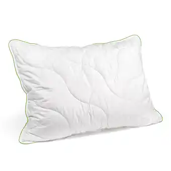 Reiter Polster Klimakomfort I2051601 Betten Reiter Angebot