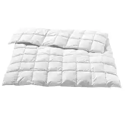 Reiter Sommerdaunendecke P6100101 Betten Reiter Angebot