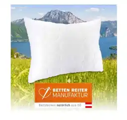 Reiter Schurwollpolster GOTS F2901101 Betten Reiter Angebot