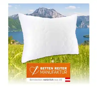 Reiter Schurwollpolster GOTS F2901101 Betten Reiter Angebot