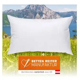 Reiter Allergikerpolster F2619701 Betten Reiter Angebot
