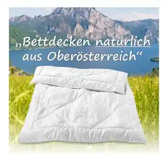 Reiter Sommer-Kamelhaardecke Lara F2635401 Betten Reiter Angebot
