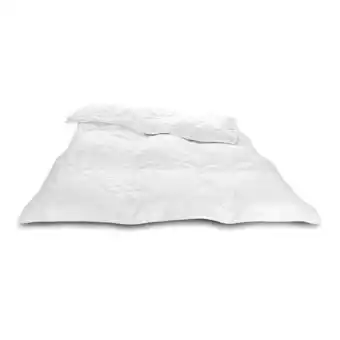 Reiter Hanf-Wildseidendecke F2636601 Betten Reiter Angebot